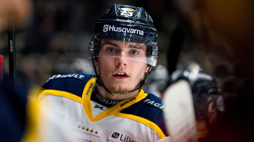 Uppgifter: Rangers vill plocka över Lias Andersson till NHL-slutspelet