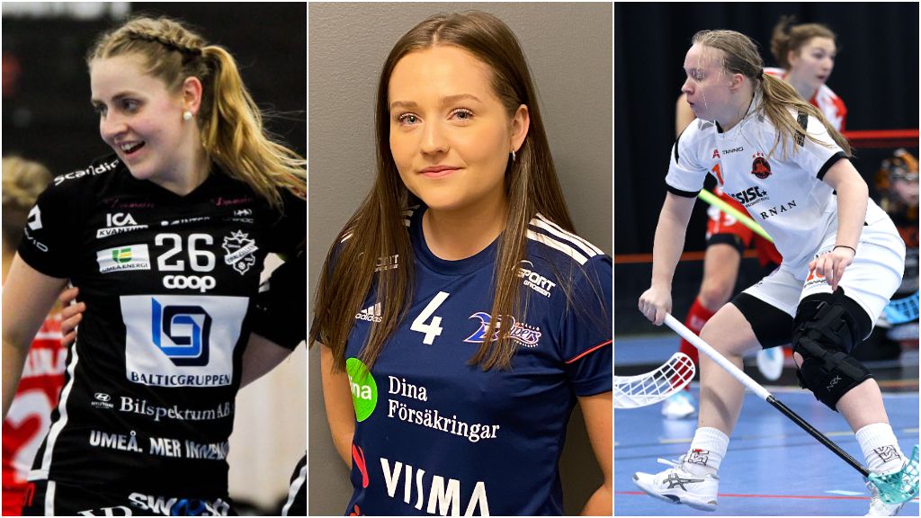 #ibsilly 2021: Allsvenskan Södra/Västra - 82 bekräftade värvningar